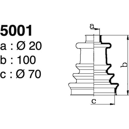 5001.jpg 5001.jpg