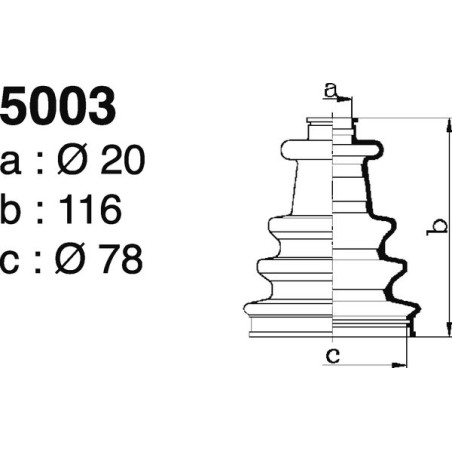 5003.jpg 5003.jpg