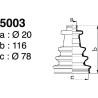 5003.jpg 5003.jpg