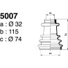 5007.jpg