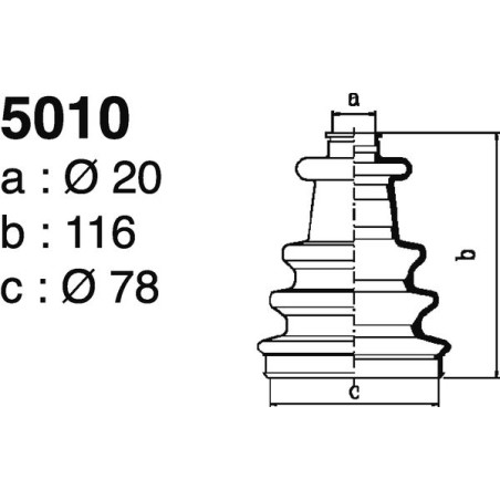 5010.jpg