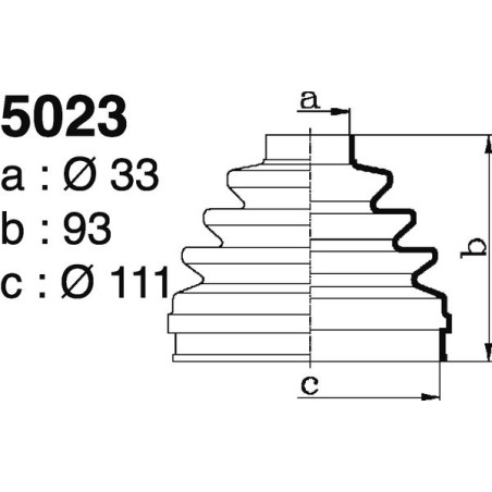 5023.jpg