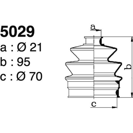 5029.jpg