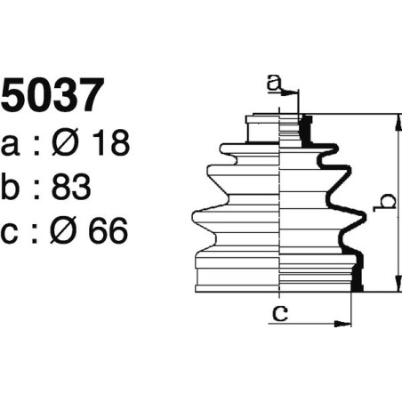 5037.jpg 5037.jpg