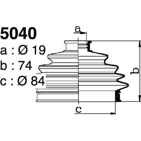 5040.jpg