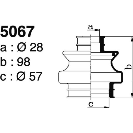 5067.jpg