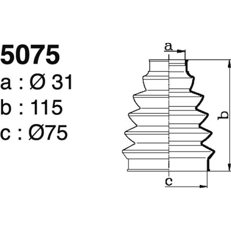 5075.jpg 5075.jpg