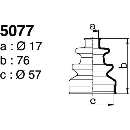 5077.jpg