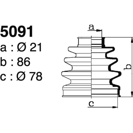 5091.jpg
