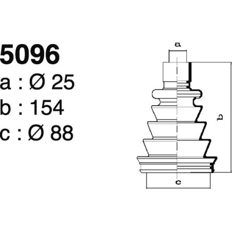 5096.jpg