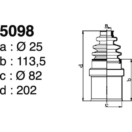5098.jpg