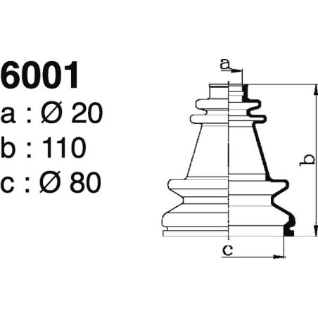 6001.jpg 6001.jpg
