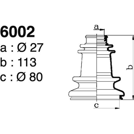 6002.jpg 6002.jpg