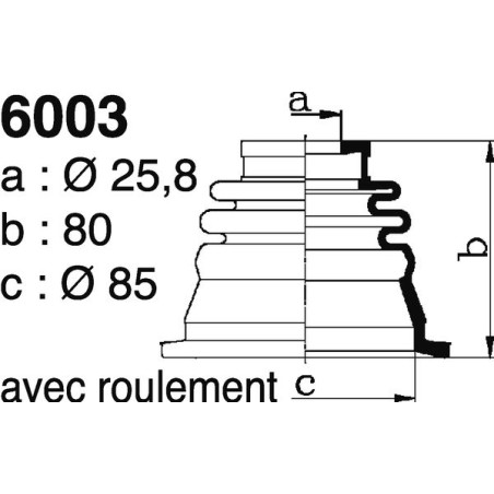 6003.jpg 6003.jpg