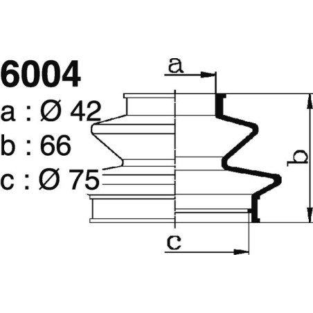 6004.jpg