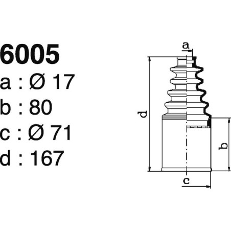 6005.jpg