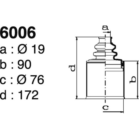 6006.jpg
