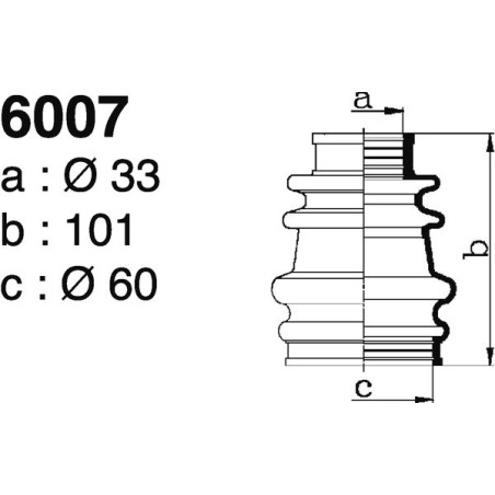 6007.jpg