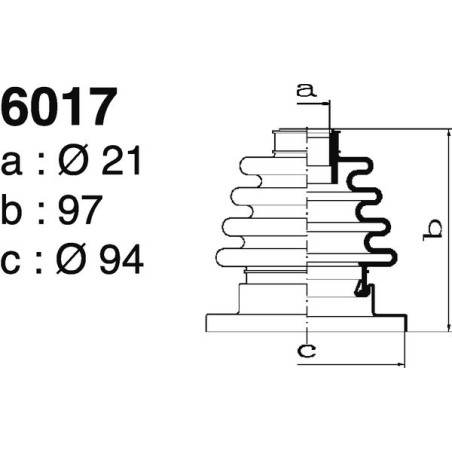 6017.jpg 6017.jpg