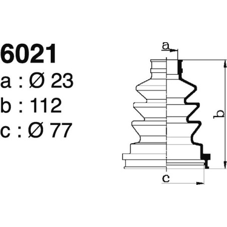 6021.jpg 6021.jpg