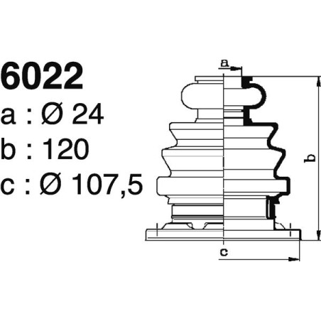 6022.jpg