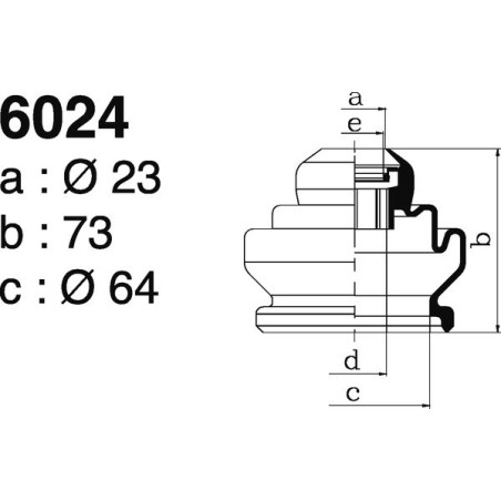 6024.jpg 6024.jpg
