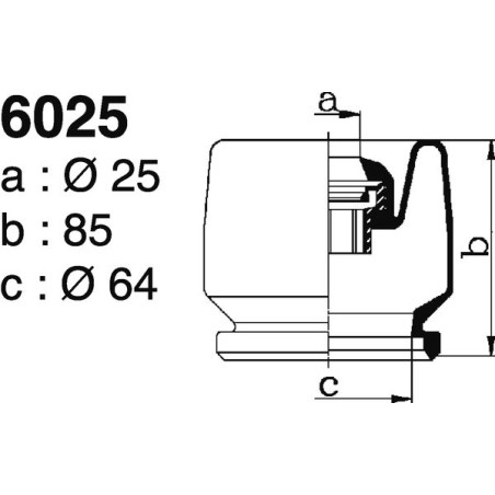 6025.jpg 6025.jpg
