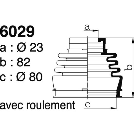 6029.jpg 6029.jpg