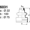 6031.jpg 6031.jpg