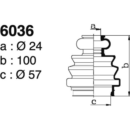 6036.jpg 6036.jpg