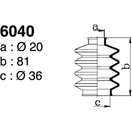 6040.jpg
