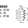 6040.jpg