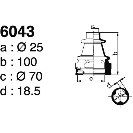 6043.jpg 6043.jpg