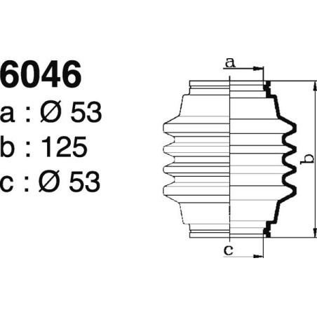6046.jpg