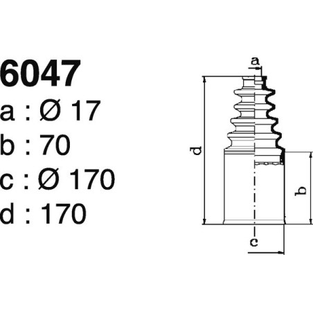 6047.jpg