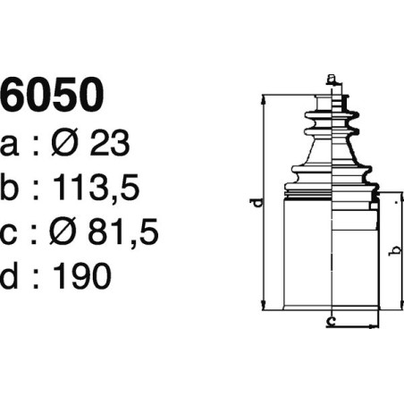 6050.jpg