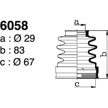 6058.jpg