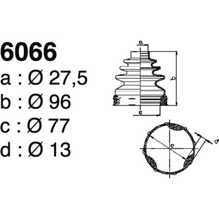 6066.jpg 6066.jpg