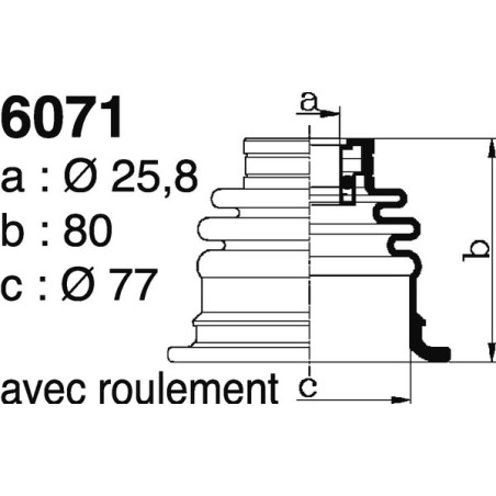 6071.jpg 6071.jpg