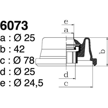 6073.jpg