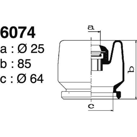 6074.jpg