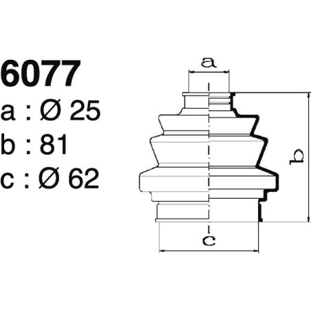 6077.jpg 6077.jpg
