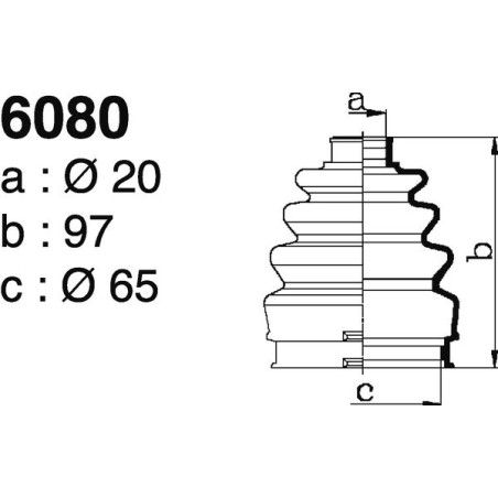 6080.jpg 6080.jpg