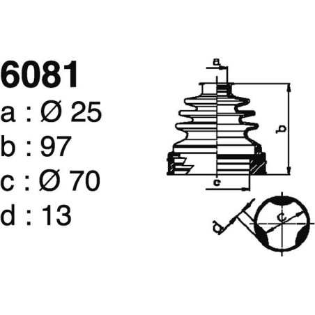6081.jpg 6081.jpg