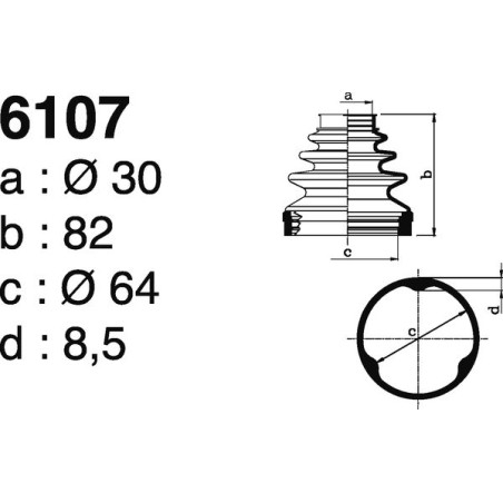 6107.jpg 6107.jpg
