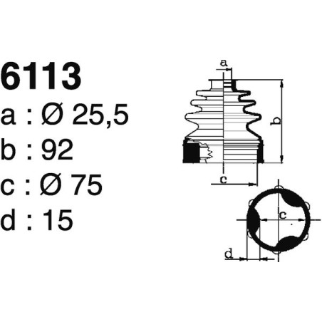 6113.jpg 6113.jpg
