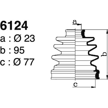6124.jpg
