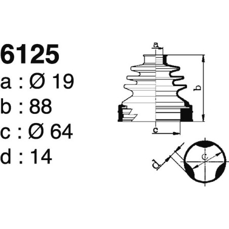 6125.jpg 6125.jpg