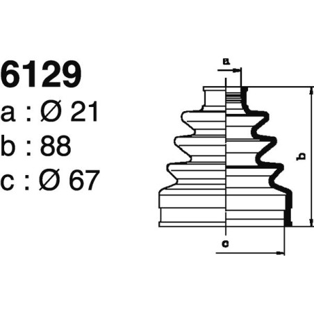 6129.jpg 6129.jpg