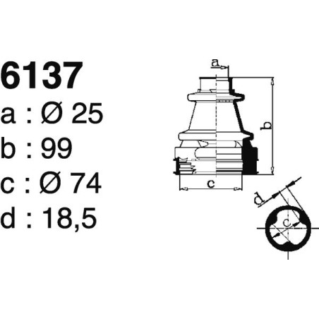 6137.jpg 6137.jpg